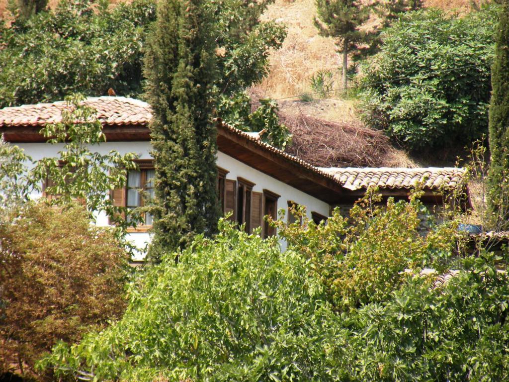 Terrace Houses Sirince Villa Selçuk Habitación foto